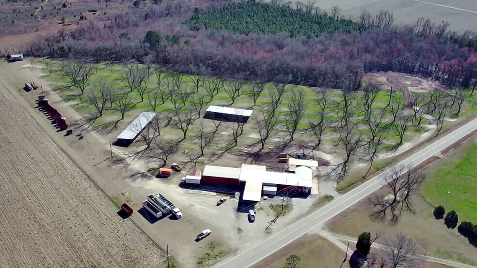 14254 GA Highway 231, Davisboro, GA for sale - Primary Photo - Image 1 of 1