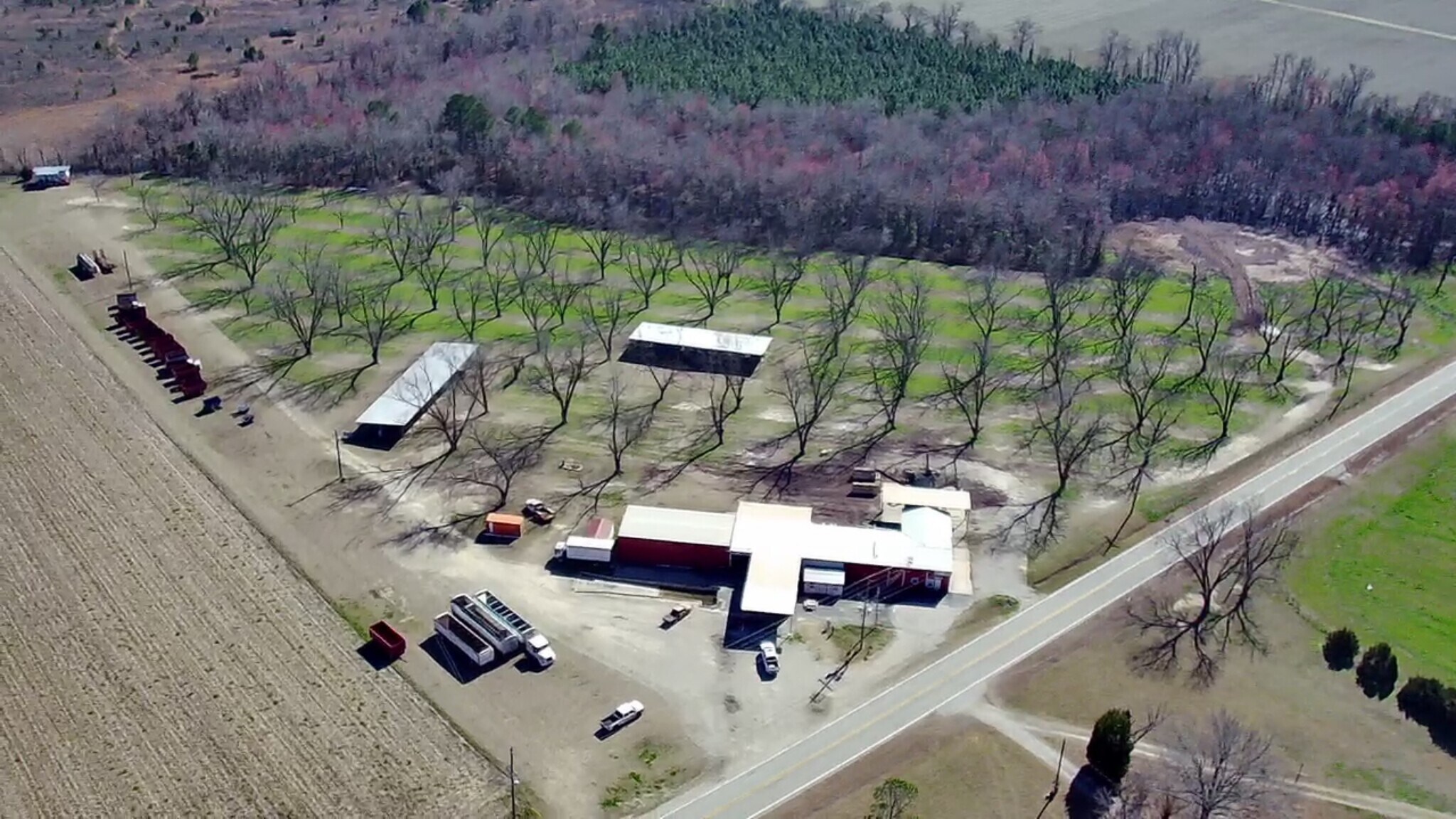 14254 GA Highway 231, Davisboro, GA for sale Primary Photo- Image 1 of 1