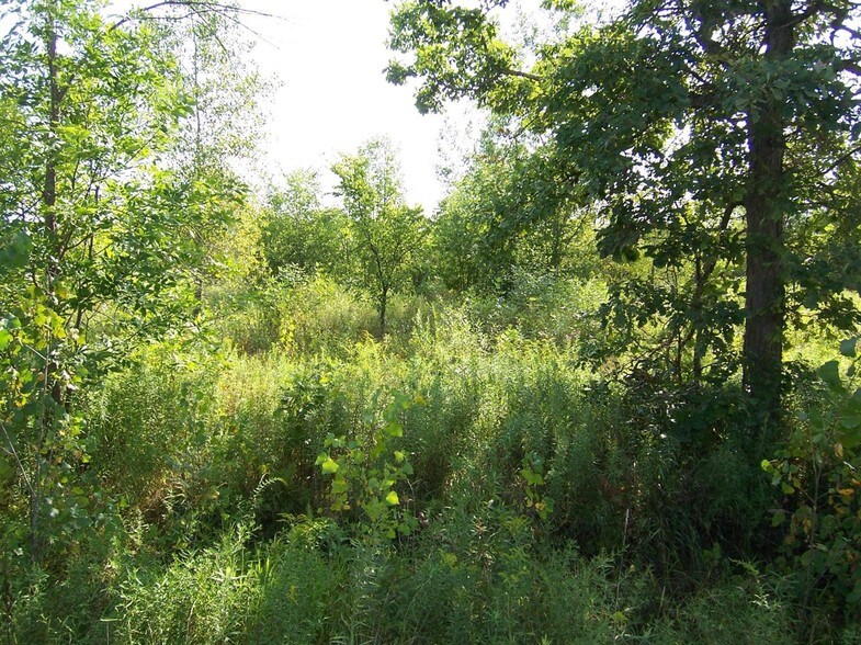 12386 N Elms Rd, Clio, MI for sale - Building Photo - Image 1 of 1