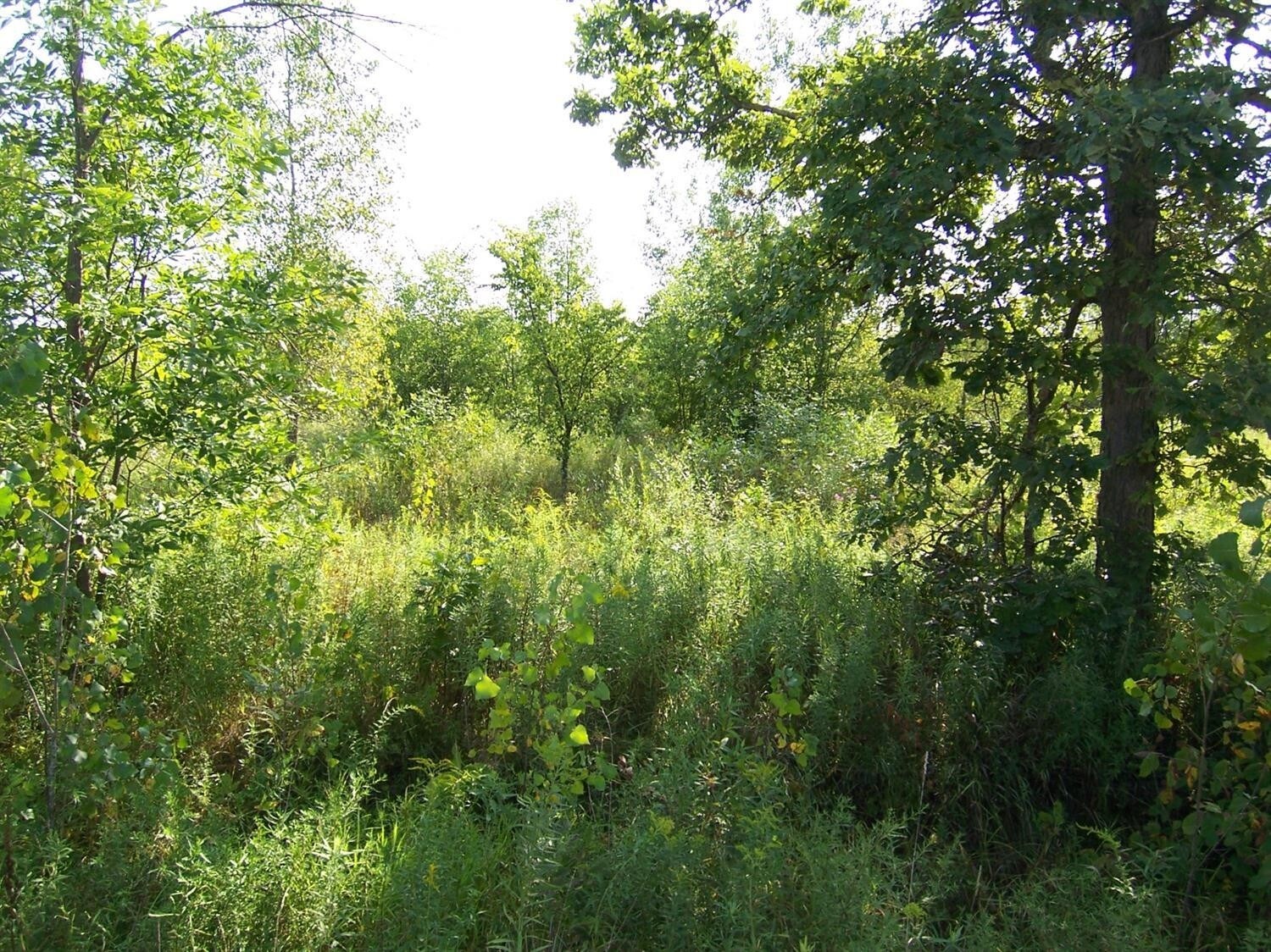 12386 N Elms Rd, Clio, MI for sale Building Photo- Image 1 of 1