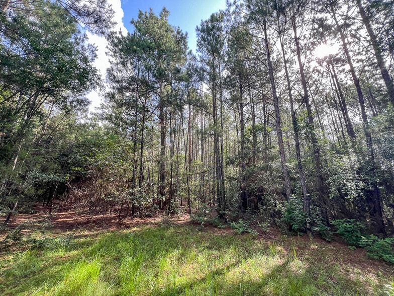 00 FM 2793, New Waverly, TX for sale - Building Photo - Image 2 of 13