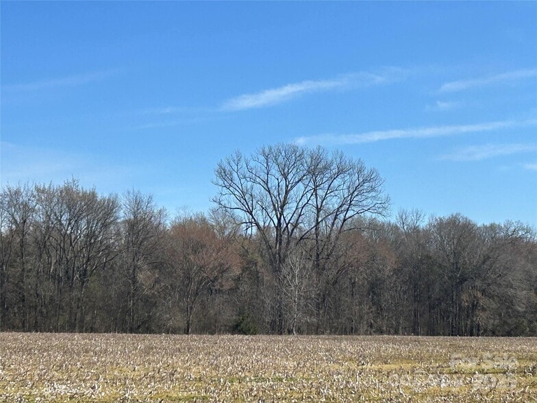 Intersection Falls Rd and Bridgewater rd, Rock Hill, SC for sale - Site Plan - Image 3 of 8