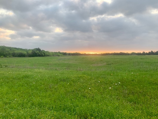 Land in Greenville, TX for sale - Other - Image 2 of 2