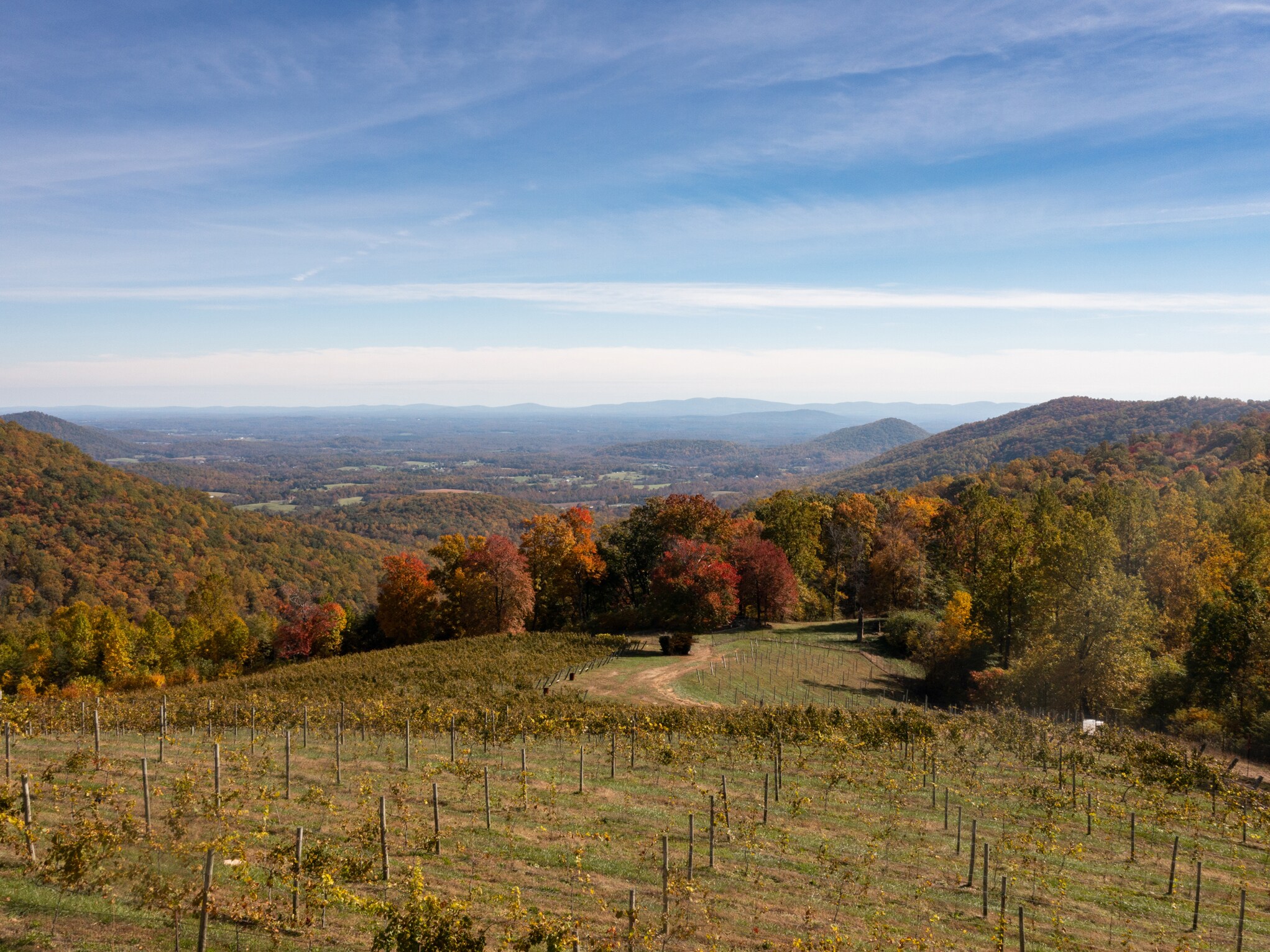 1376 Wyatt Mountain Rd, Dyke, VA 22935 Stone Mountain Vineyards