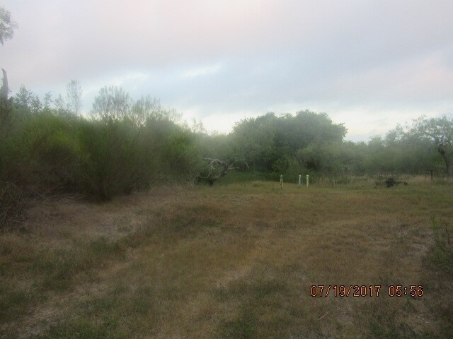 View Photo