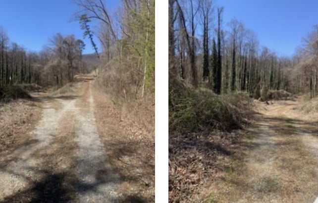 0 Main St, Clayton, GA for sale - Other - Image 2 of 4