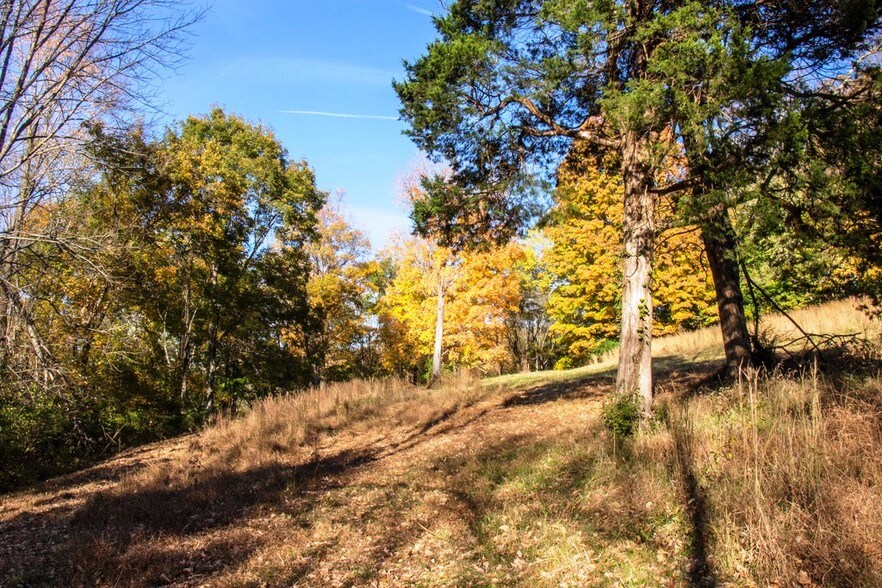 Sneed Rd, Franklin, TN 37069