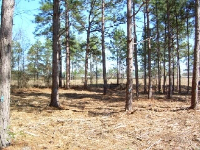 Westside Rd, Statesboro, GA for sale Primary Photo- Image 1 of 1