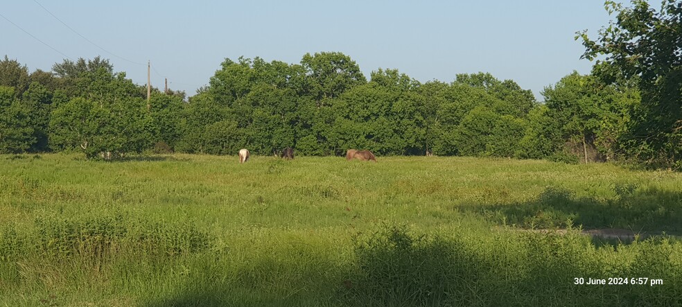 28826 FM 1462 Rd, Damon, TX for lease - Primary Photo - Image 1 of 44