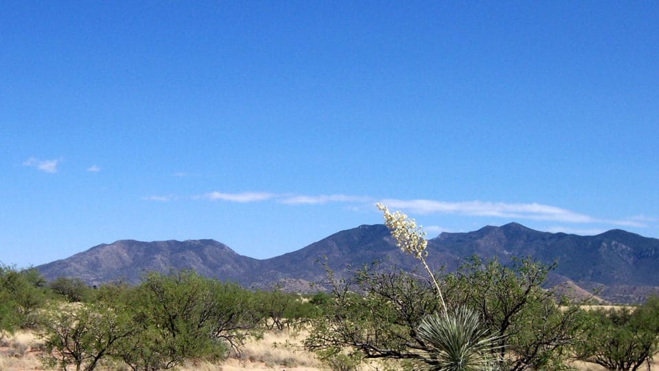 Custom Home Lots at Red Hawk J-6 Ranch portfolio of 7 properties for sale on LoopNet.com - Building Photo - Image 3 of 12