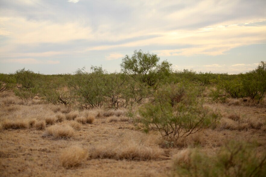 0000 Elkins, Midland, TX for sale - Building Photo - Image 1 of 1