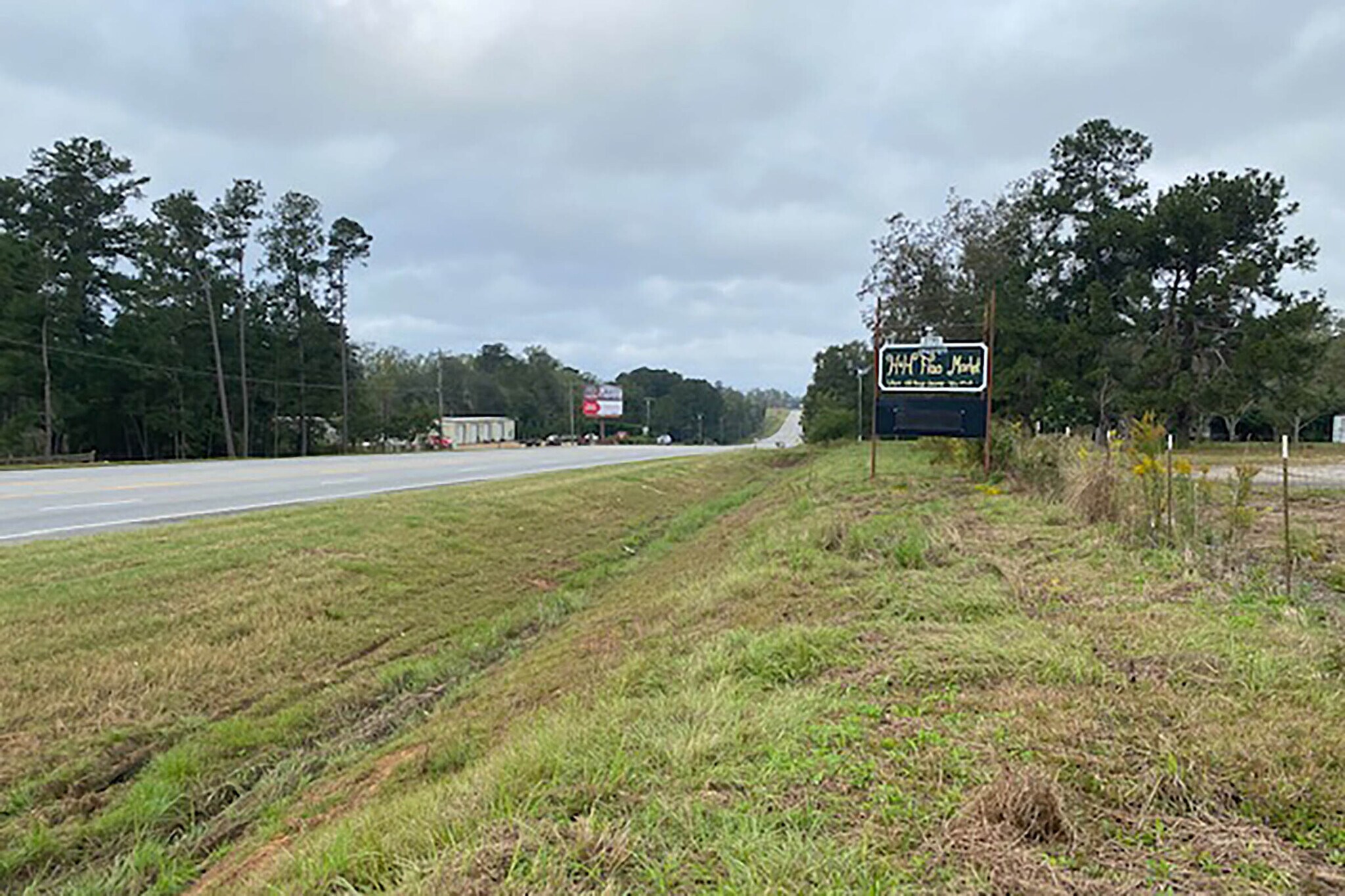E Highway 84, Cairo, GA 39828 Land for Sale