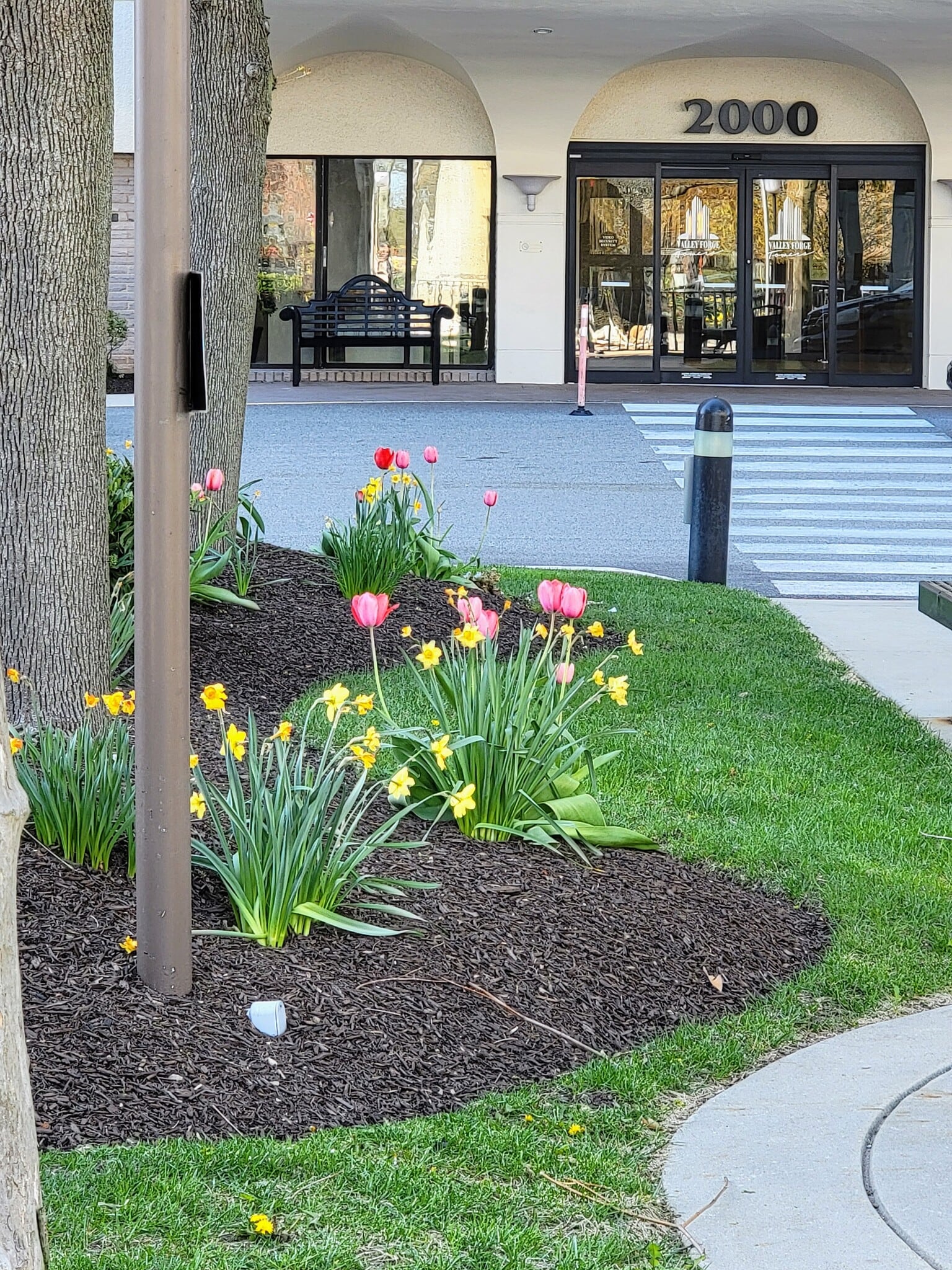 20142 Valley Forge Cir, King Of Prussia, PA for lease Building Photo- Image 1 of 14