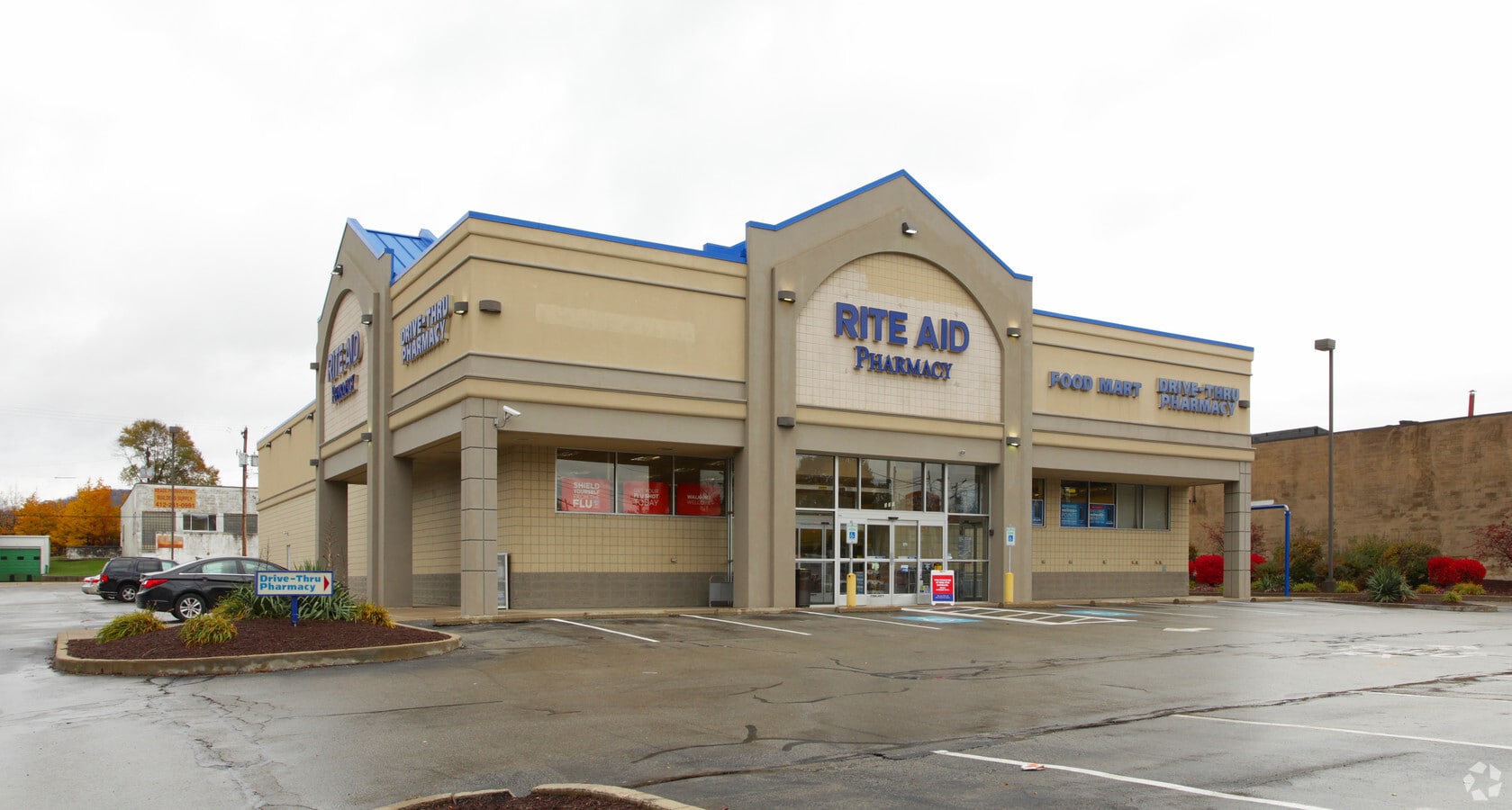 Primary Photo