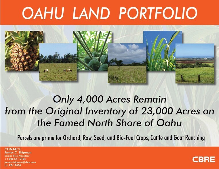 Land in Haleiwa, HI for sale - Primary Photo - Image 1 of 1