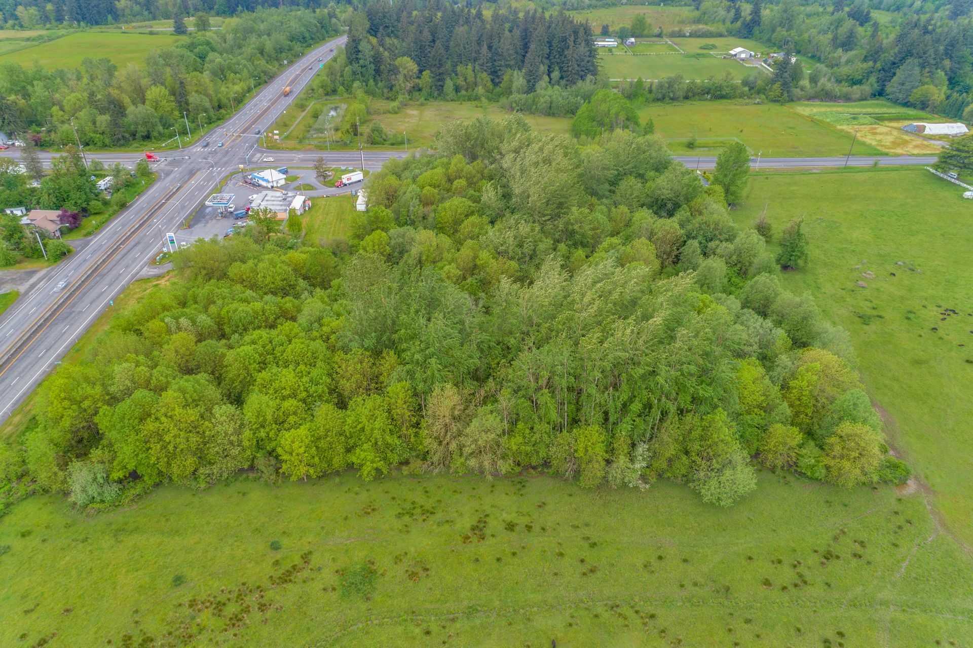 21900 10th, Ridgefield, WA 98642 7.62 Acres in Ridgefield WA