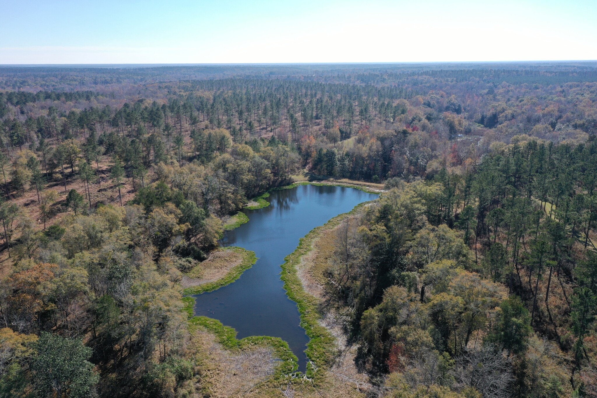 4433 Pat Thomas Pky, Quincy, FL for sale Building Photo- Image 1 of 43