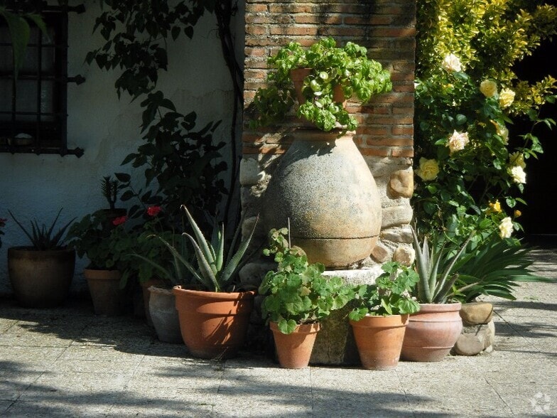 Plaza Antonio Moreda, 1, Valdeolmos-Alalpardo, Madrid for sale - Interior Photo - Image 3 of 14