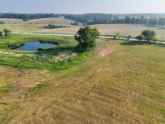 More details for 680 Tickridge Rd. (20+/- Acres), Silex, MO - Land for Sale