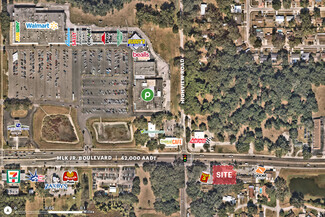 More details for 11909 E Dr Martin Luther King Jr Blvd, Seffner, FL - Land for Lease