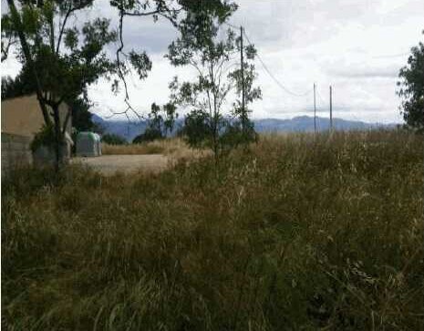 Land in Tortosa, Tarragona for sale - Floor Plan - Image 1 of 5