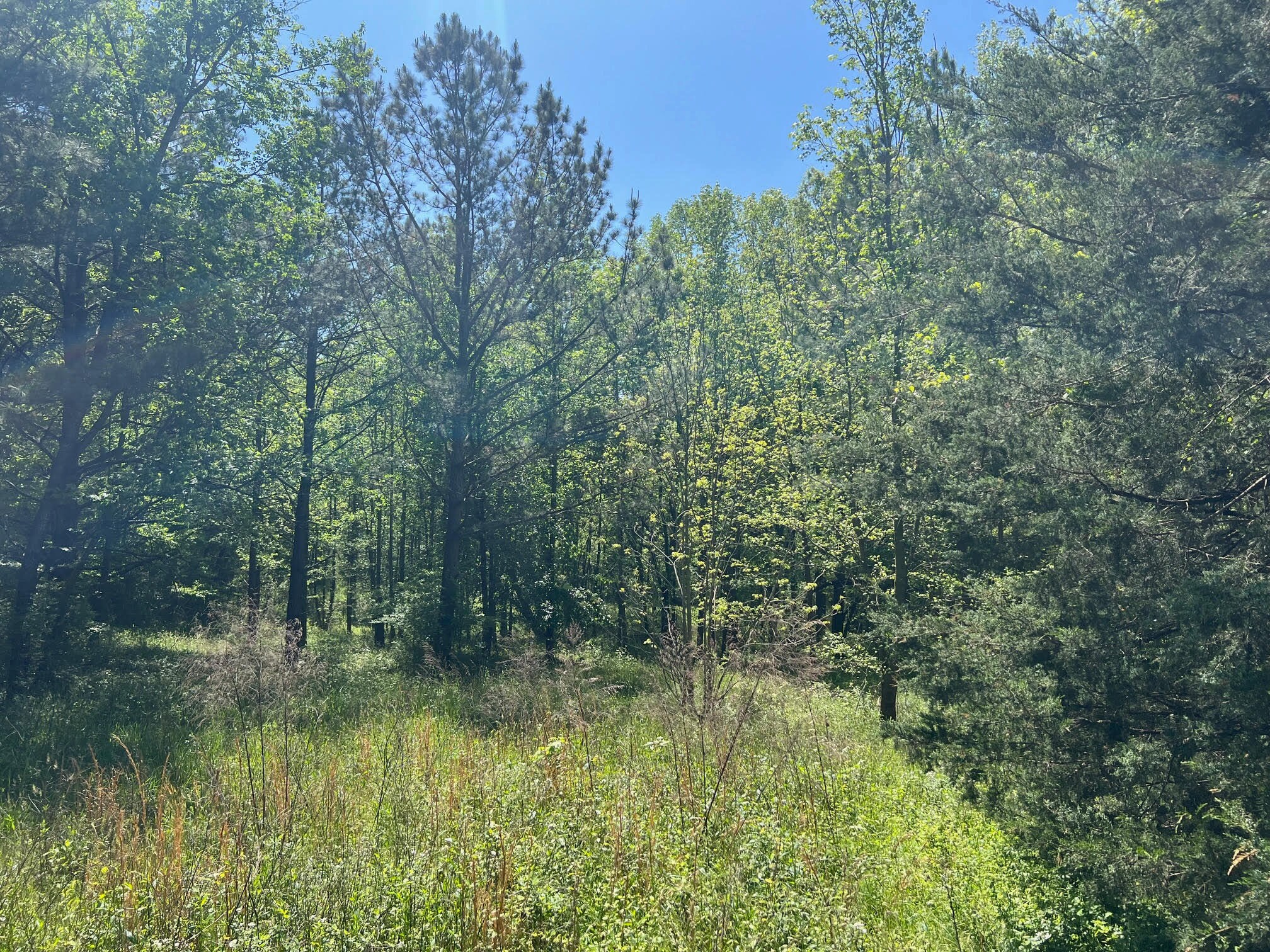 0 Woodkraft rd, Madison, GA for sale Building Photo- Image 1 of 4