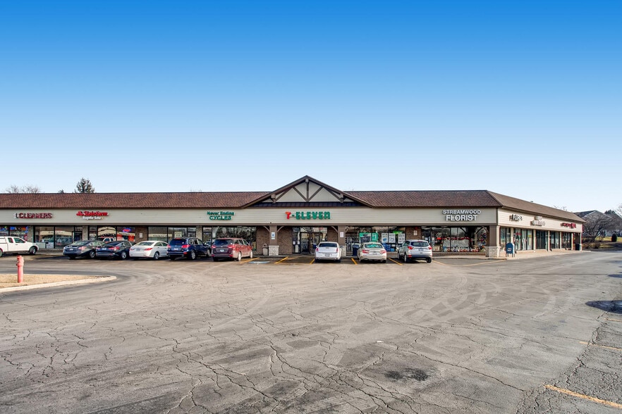 1010-1072 E Schaumburg Rd, Streamwood, IL for lease - Building Photo - Image 2 of 22