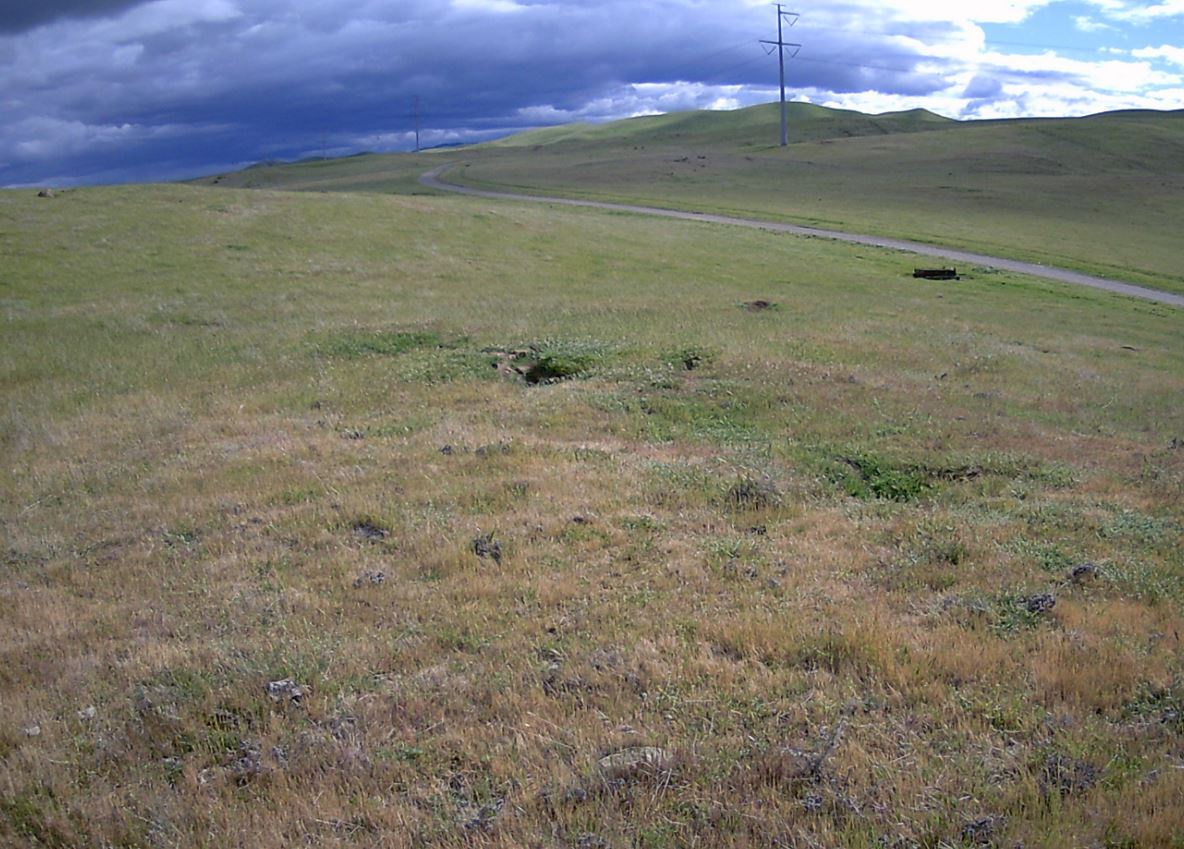 Jasper Sears Rd. Rd, Santa Nella, CA for sale Primary Photo- Image 1 of 1