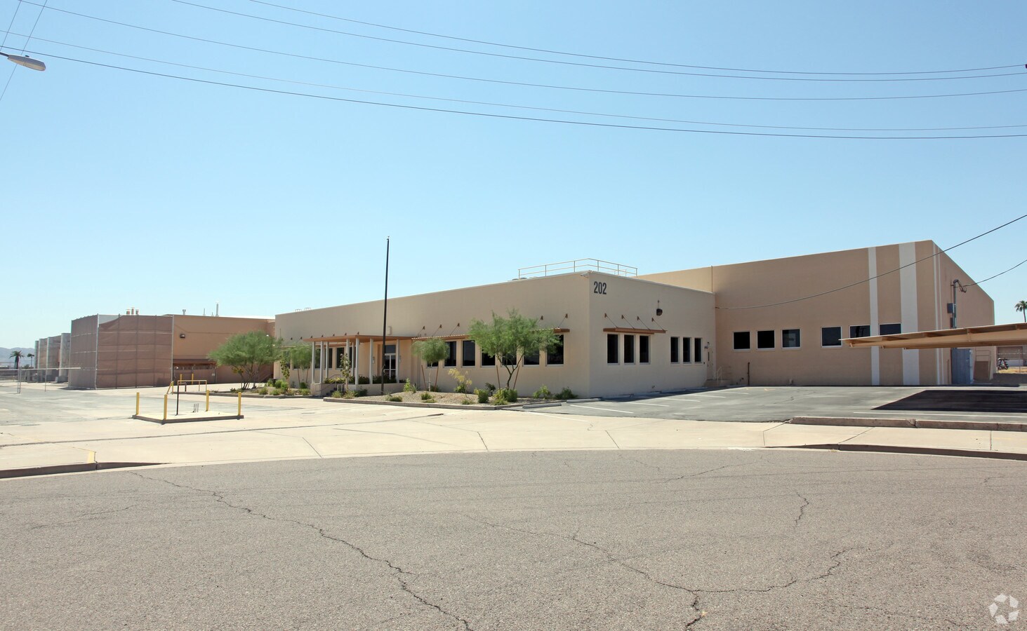Primary Photo