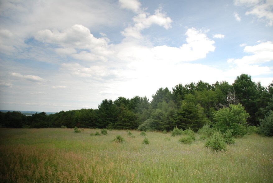 Elk Lake Rd, Williamsburg, MI 49690