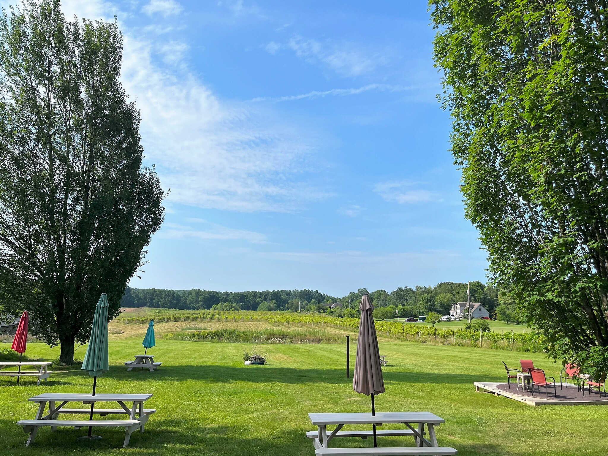 1261 E Munger Rd, Tecumseh, MI 49286 Winery, Vineyard, Brewery, FarmTecumseh