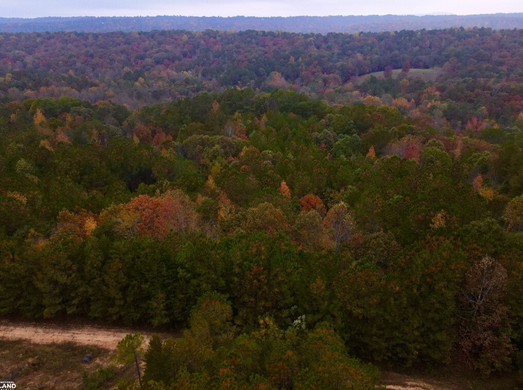 EO Road, Odenville, AL for sale Aerial- Image 1 of 29