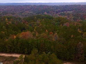 EO Road, Odenville, AL - aerial  map view - Image1