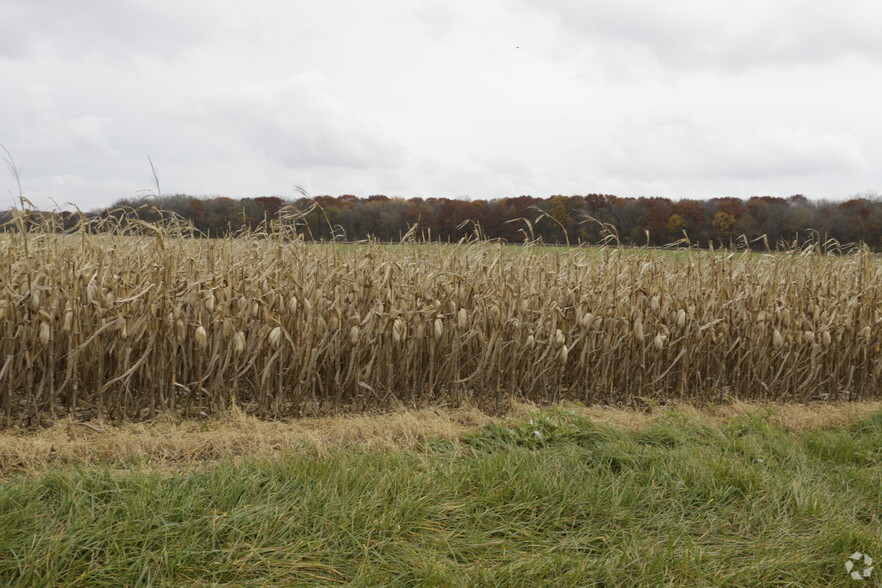 29002 S Cedar Rd, Manhattan, IL for sale - Primary Photo - Image 1 of 1