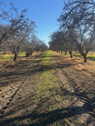 More details for 1 American Ave, Firebaugh, CA - Land for Sale