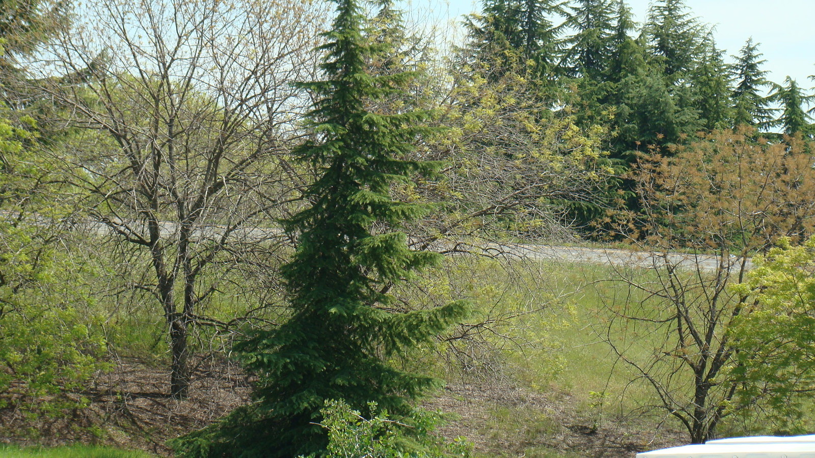 View Photo