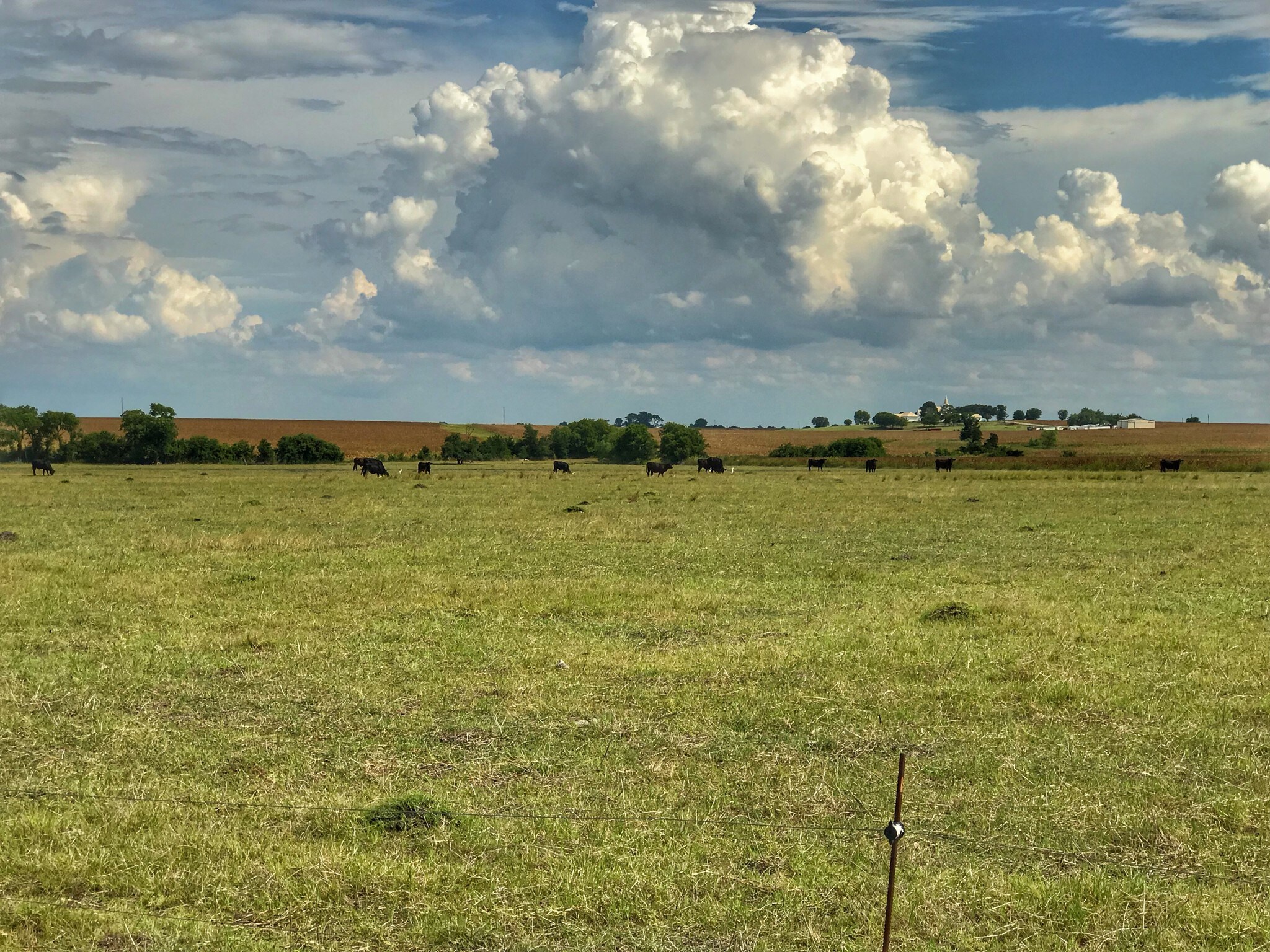 2050 County Road 414, Taylor, TX for sale Other- Image 1 of 1