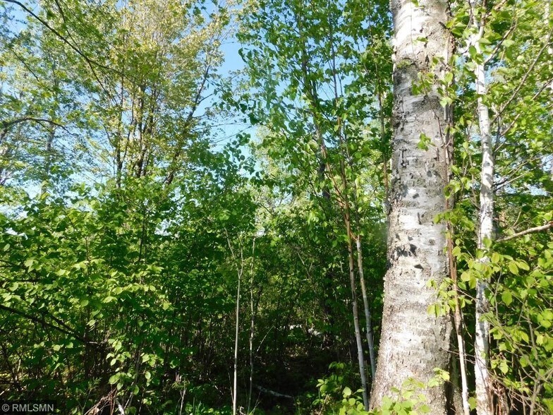 Country Road 19, Kettle River, MN 55757