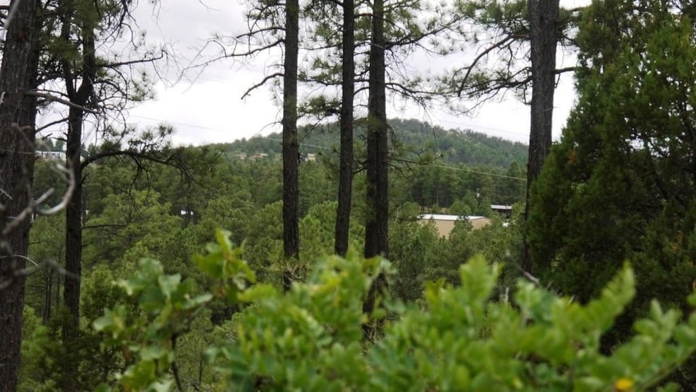 Dixwood, Timberon, NM 88350