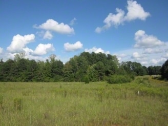 Corner Willis Rd. & Hwy 154, Sharpsburg, GA for sale - Primary Photo - Image 1 of 1
