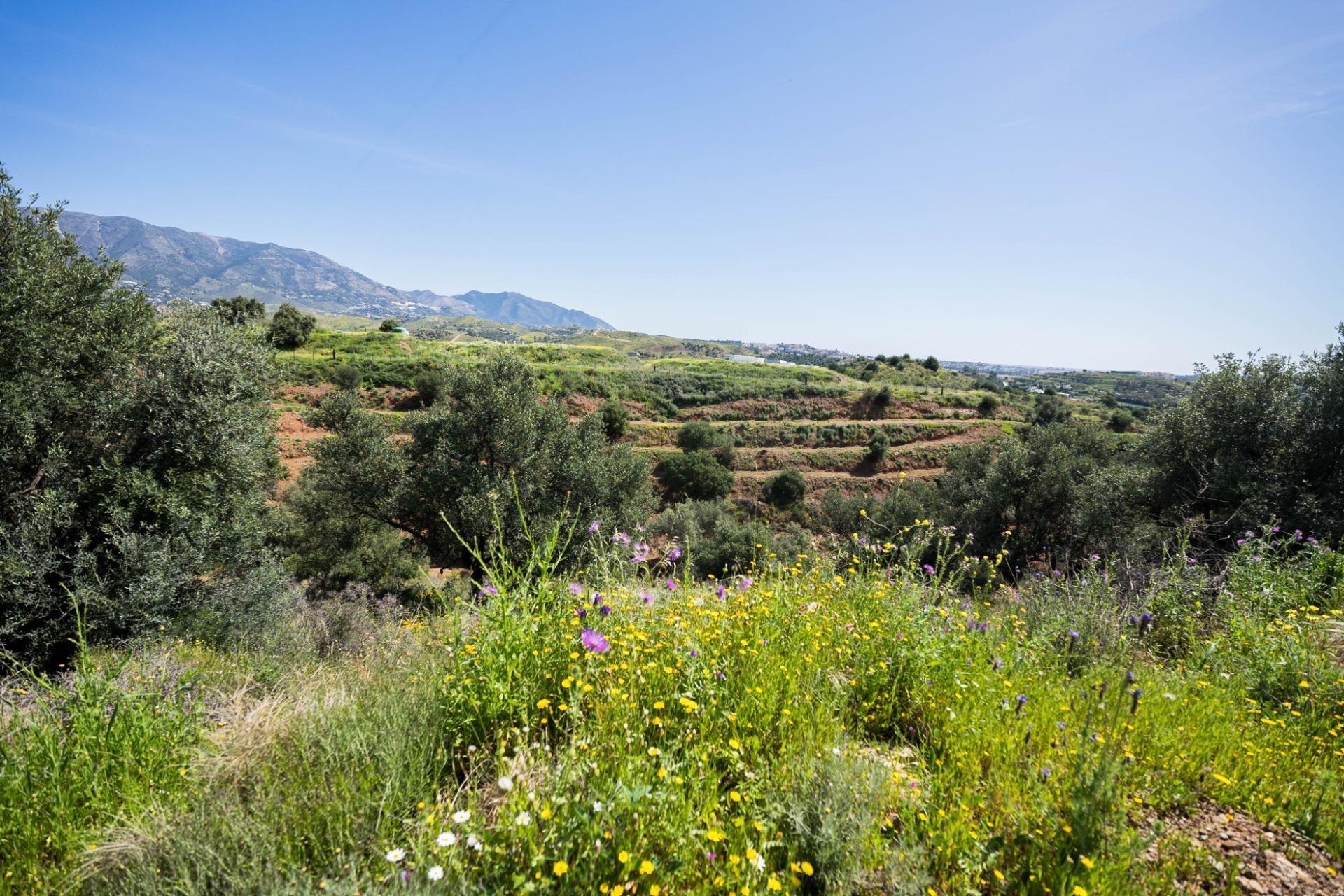Land in Mijas, Málaga for sale Aerial- Image 1 of 10