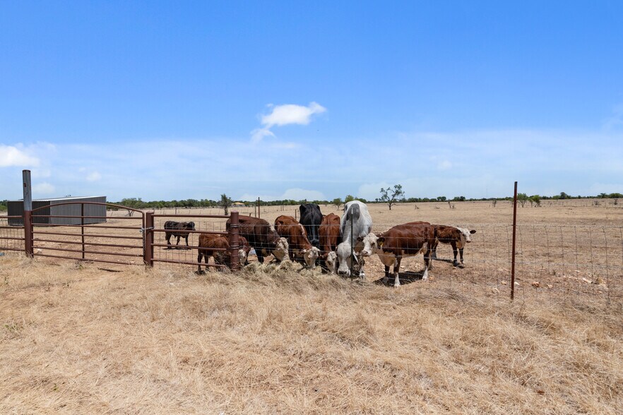 1150 County Road 308, Jarrell, TX 76537 Perez Ranches