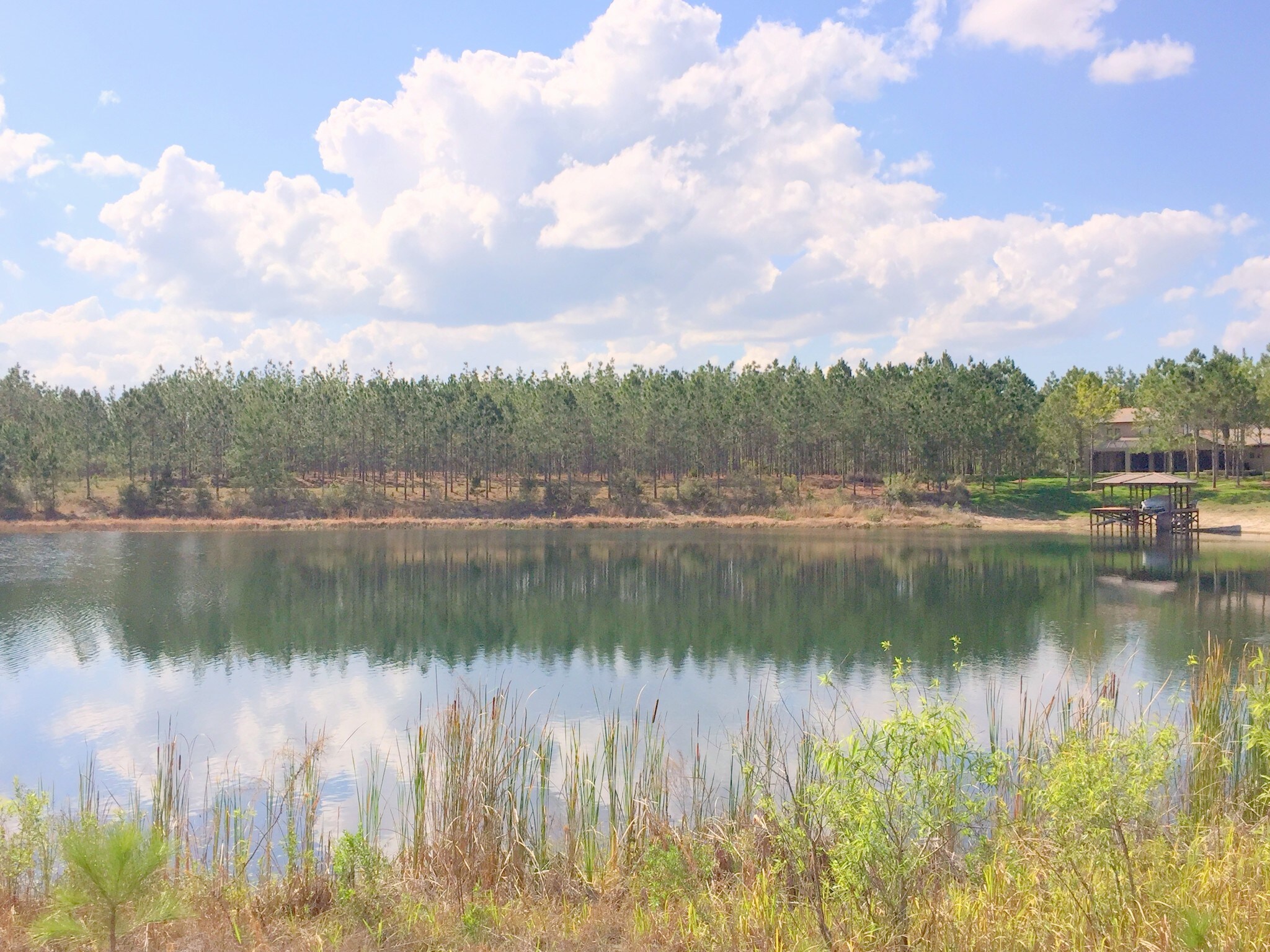 4187 Double Cut Dr, Deland, FL for sale Building Photo- Image 1 of 1