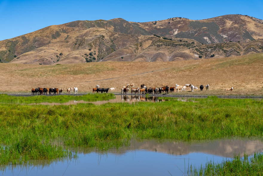 48400 Reliz Canyon Rd, Greenfield, CA for sale - Primary Photo - Image 1 of 12