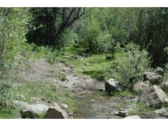 State Route 341, Reno, NV for sale Primary Photo- Image 1 of 1