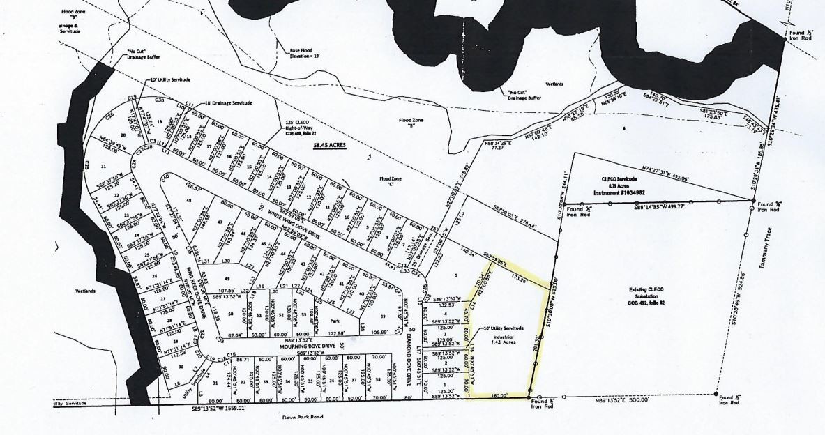 1537 Dove Park Rd, Mandeville, LA for lease Site Plan- Image 1 of 2