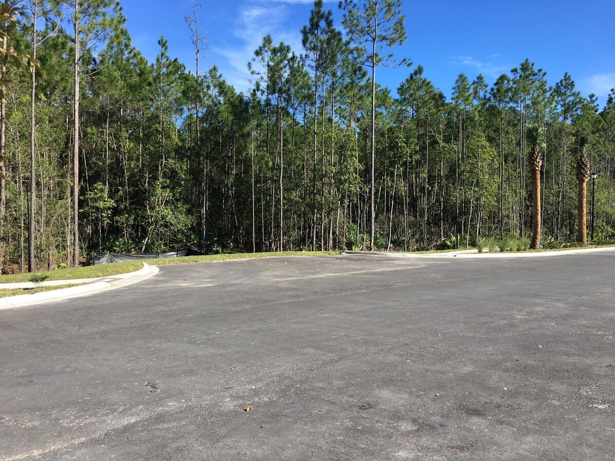 SR 207 & Deerfield Preserve Blvd, Saint Augustine, FL 32084