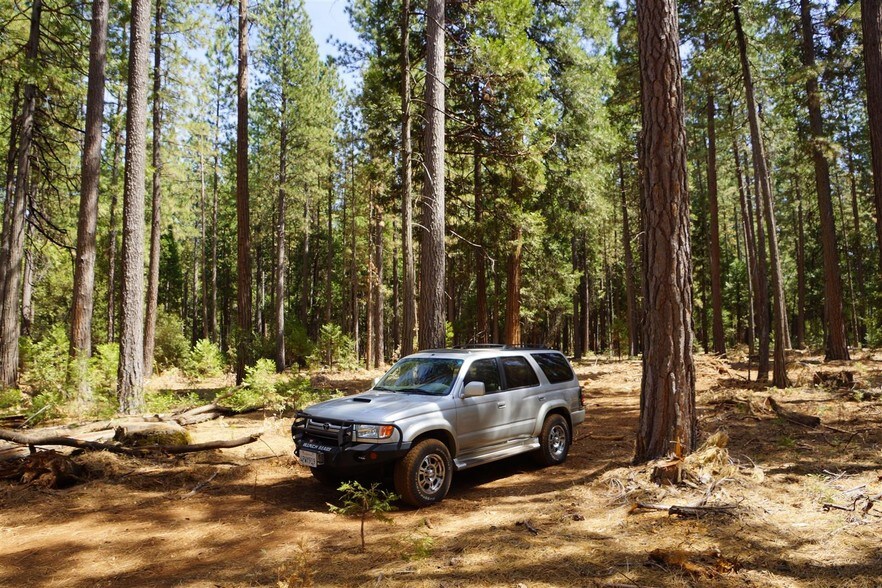 Doodlebug Ln, Shingletown, CA for sale - Primary Photo - Image 1 of 1