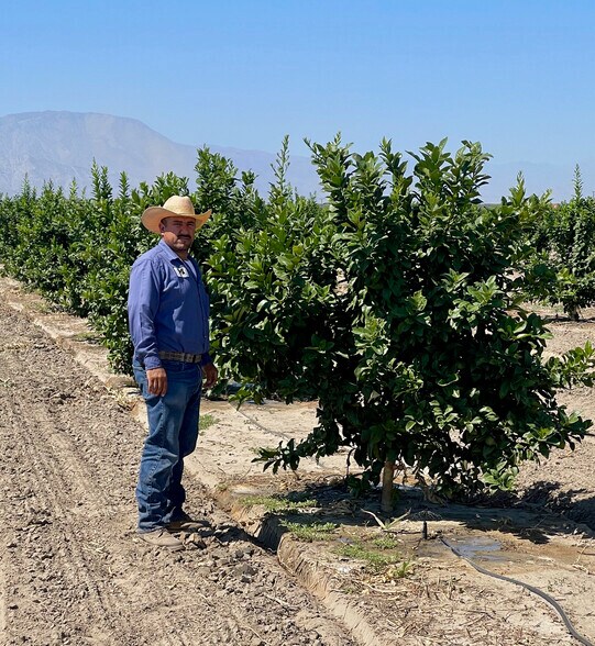 Highway 111, North Shore, CA 92254