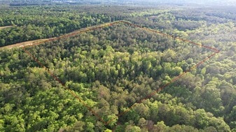 NEW PRICE!! 38± Acres – Century, FL - Golf Course